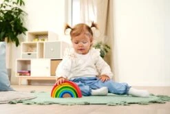 Holzpuzzle Regenbogen Rainbow Eichhorn 8 Teile Ab 12 Monaten EH3458 32 Holzpuzzle Regenbogen Rainbow Eichhorn 8 Teile Ab 12 Monaten EH3458 -Eichhorn 100003458 n eichhorn skladacka