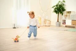 Ente Aus Holz Zum Ziehen Duck Pull-along Animal Eichhorn Mit Beweglichem Kopf Ab 12 Monaten EH5587 19 Ente Aus Holz Zum Ziehen Duck Pull-along Animal Eichhorn Mit Beweglichem Kopf Ab 12 Monaten EH5587 -Eichhorn 100005587 i eichhorn kacicka