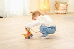 Ente Aus Holz Zum Ziehen Duck Pull-along Animal Eichhorn Mit Beweglichem Kopf Ab 12 Monaten EH5587 21 Ente Aus Holz Zum Ziehen Duck Pull-along Animal Eichhorn Mit Beweglichem Kopf Ab 12 Monaten EH5587 -Eichhorn 100005587 k eichhorn kacicka