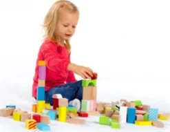 Eichhorn Holzbausteine 50 Stück, Bunt -Eichhorn 1521630 05