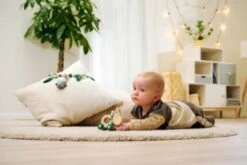 Eichhorn Baby HIPP Schiebe-Esel -Eichhorn 24451103 03