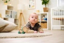 Eichhorn Baby HIPP Schiebe-Esel -Eichhorn 24451103 04