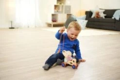 Eichhorn Nachziehtier Hund 11 Eichhorn Nachziehtier Hund -Eichhorn 24451123 06