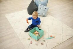 Eichhorn Magnet-Angelspiel, 19-tlg 8 Eichhorn Magnet-Angelspiel, 19-tlg -Eichhorn 25087501 03