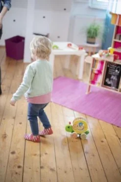 Eichhorn Color, Nachzieh-Stecktier 11 Eichhorn Color, Nachzieh-Stecktier -Eichhorn 5589098 06