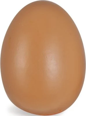 Eichhorn Eier Spiellebensmittel 2 Eichhorn Eier Spiellebensmittel – Bild 2