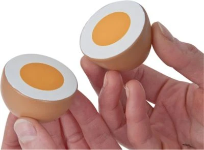 Eichhorn Eier Spiellebensmittel 6 Eichhorn Eier Spiellebensmittel – Bild 6