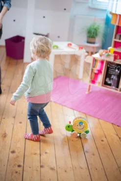 Lernschnecke Aus Holz Zum Nachziehen Color Pull Along Stacking Animal Eichhorn 4 Würfel Ab 12 Monaten -Eichhorn eh2231 h eichhorn slimak