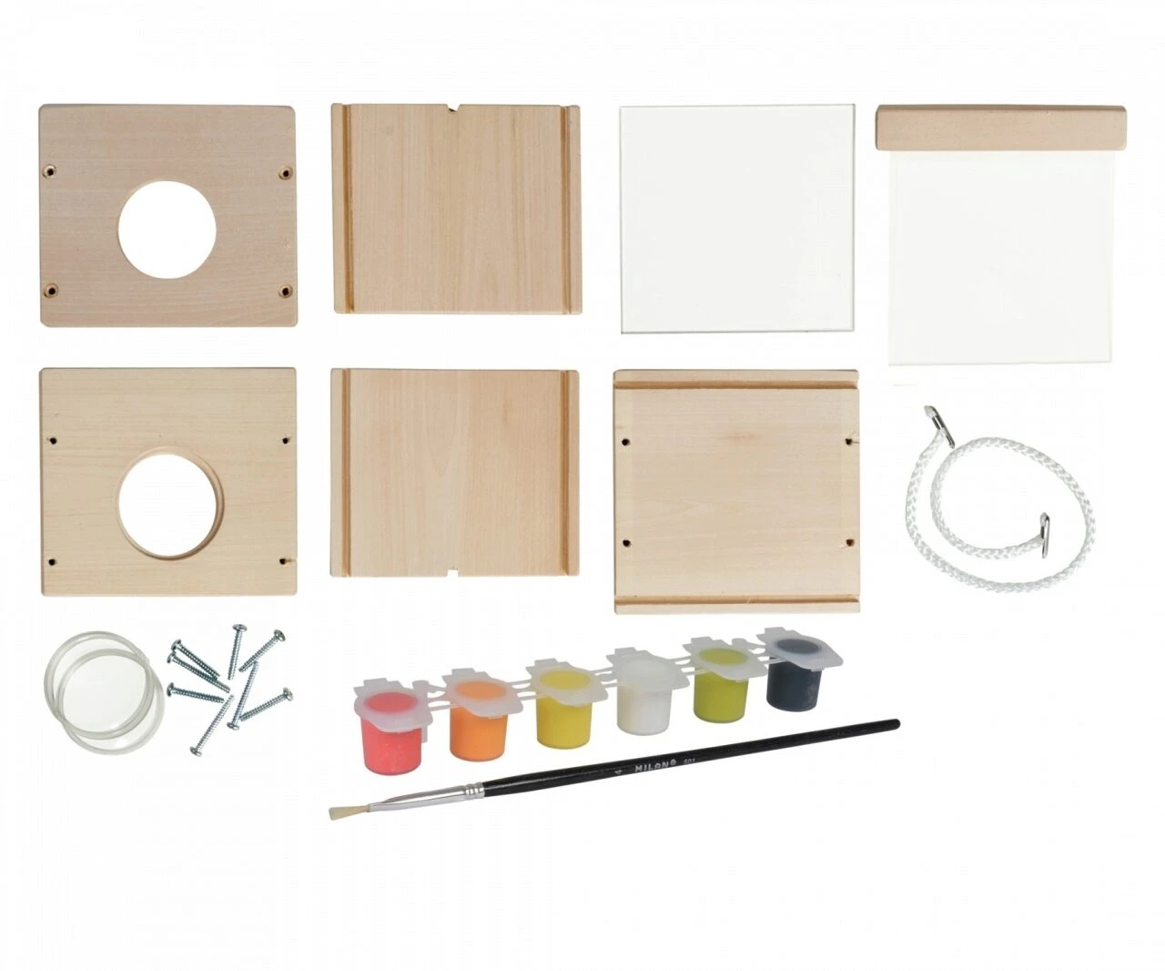 EICHHORN 100004596 EH Outdoor, Insekten-Beoabachtung 3 EICHHORN 100004596 EH Outdoor, Insekten-Beoabachtung – Bild 3